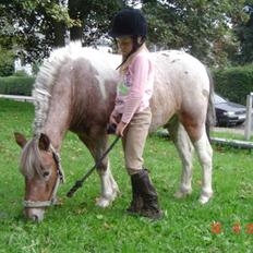 Anden særlig race tot  (gammel part)
