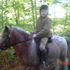 Anden særlig race tot  (gammel part)