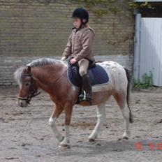 Anden særlig race tot  (gammel part)