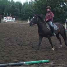 Anden særlig race Black (: (har redet)