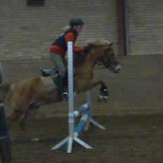 Anden særlig race Mataya