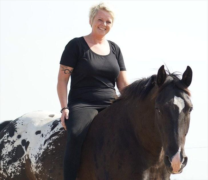 Knabstrupper Ulvegårdens Napoleon. - Foto: Rikke. billede 21