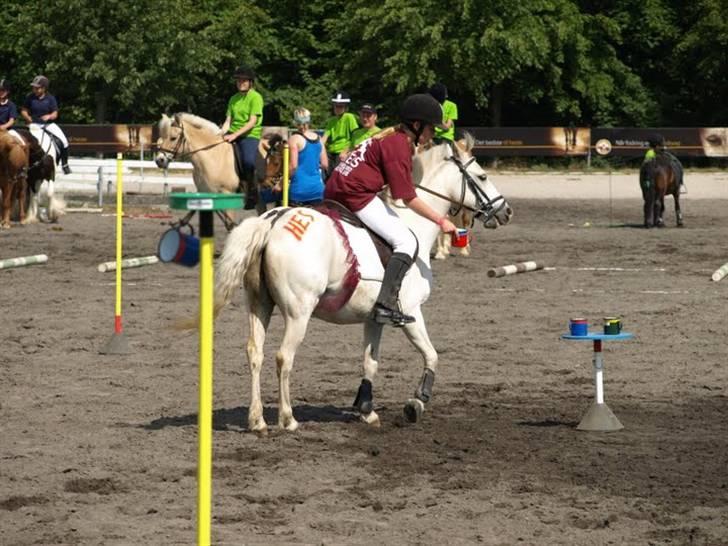 Welsh Pony (sec B) Dundee - (red) solgt! - *14* Skal sætte en kop mega svært når ponyen ikke gider stå stille hihi. Elsker dig skat<3 Taget af: Ole 1000 tak det sidder lige i skabet:) MAN MÅ IKKE KOPIRE MINE BILLEDER!! billede 14