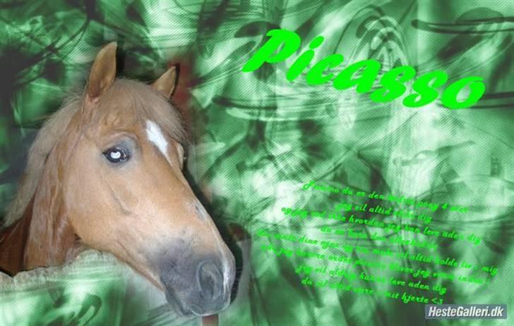 Anden særlig race Picasso!<3 - savnet. billede 17