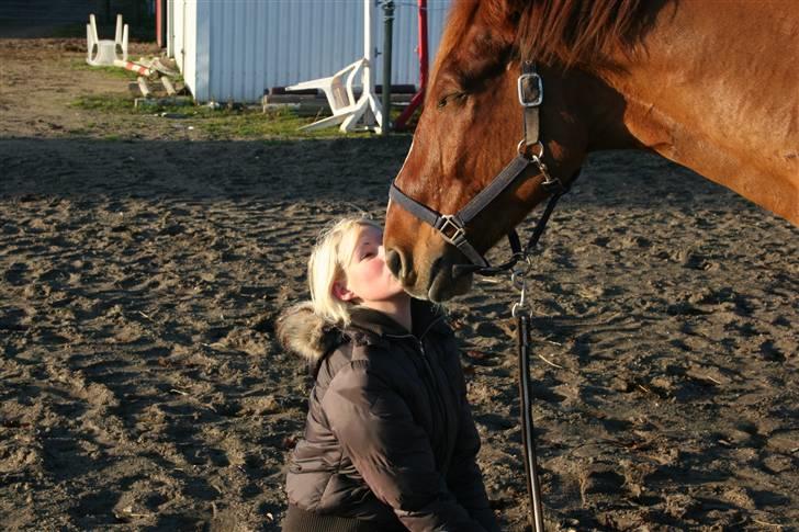 Dansk Varmblod Kingo  - Min veninde og kingo der hygger :) billede 5