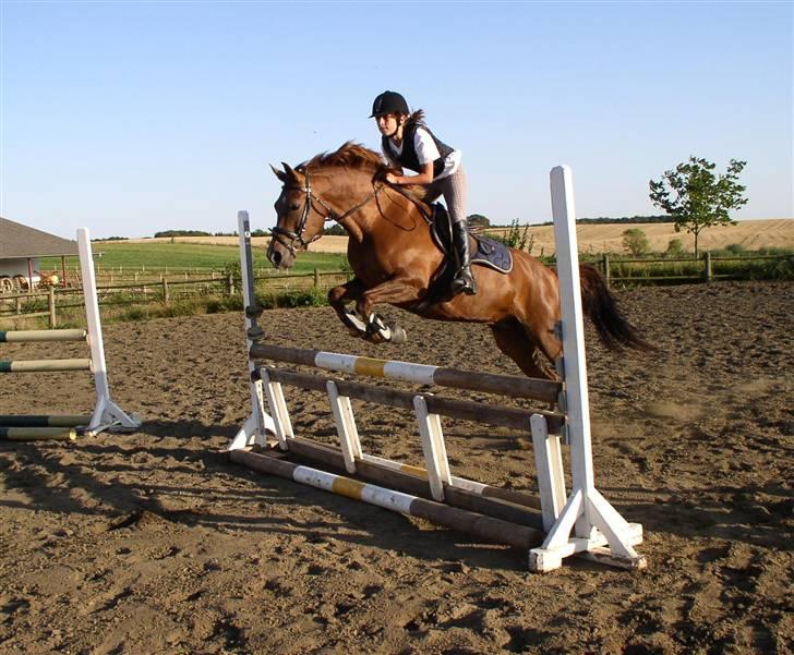 DSP Cirkeline - undervisning hjemme véd mads ;D hun gik bare super  billede 4