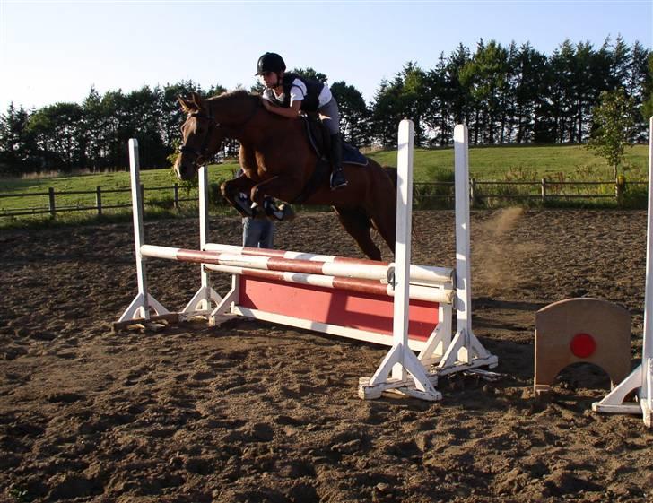 DSP Cirkeline - springundervisning (; billede 5