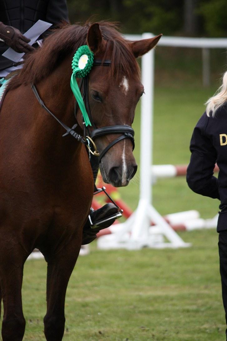 DSP Cirkeline - 4. plads på mors (; dejlig pony ! billede 6