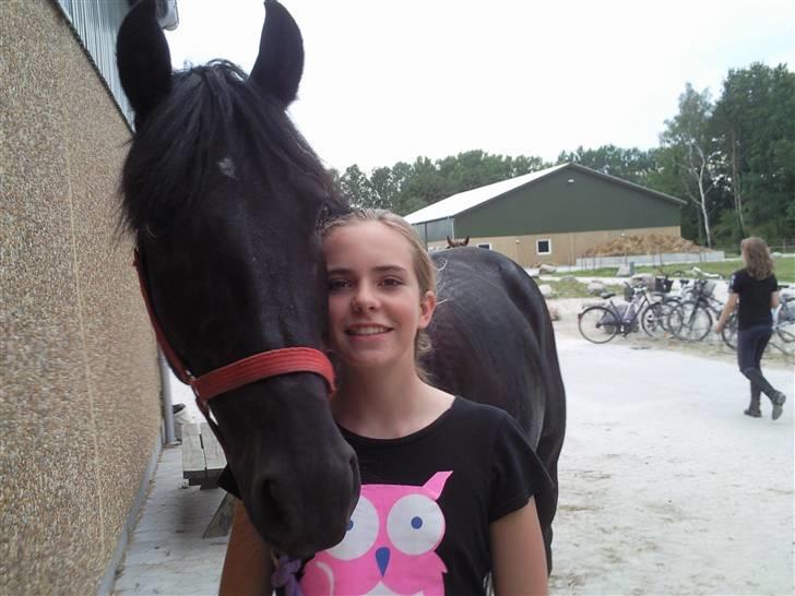 Anden særlig race Mozart - 8# Amalie og den dejligste springer <3 billede 8