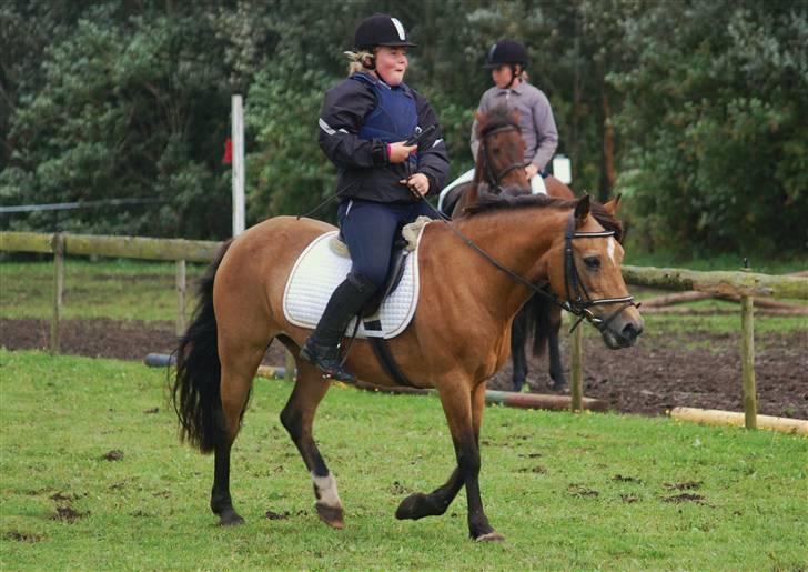 Welsh Pony af Cob-type (sec C) Camilla-tut :-) - Lige færdig med banen :D <3 foto:  CP-foto - Camilla Petersen billede 10