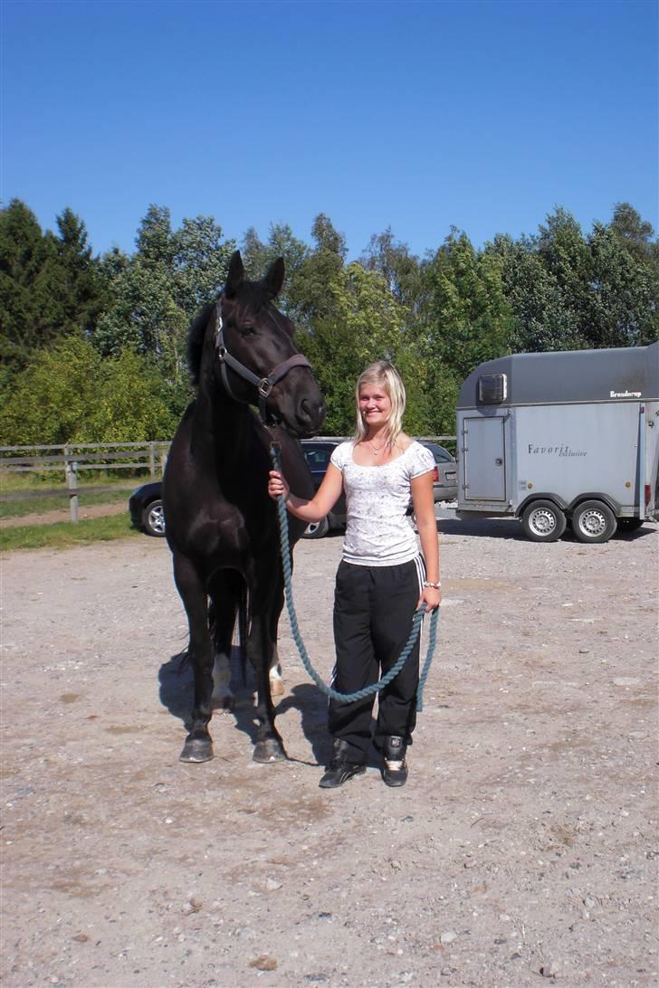 Anden særlig race Casmir <3RIP13 - lige ankommet til højgårds <3  vi tager det helt cool (= billede 3