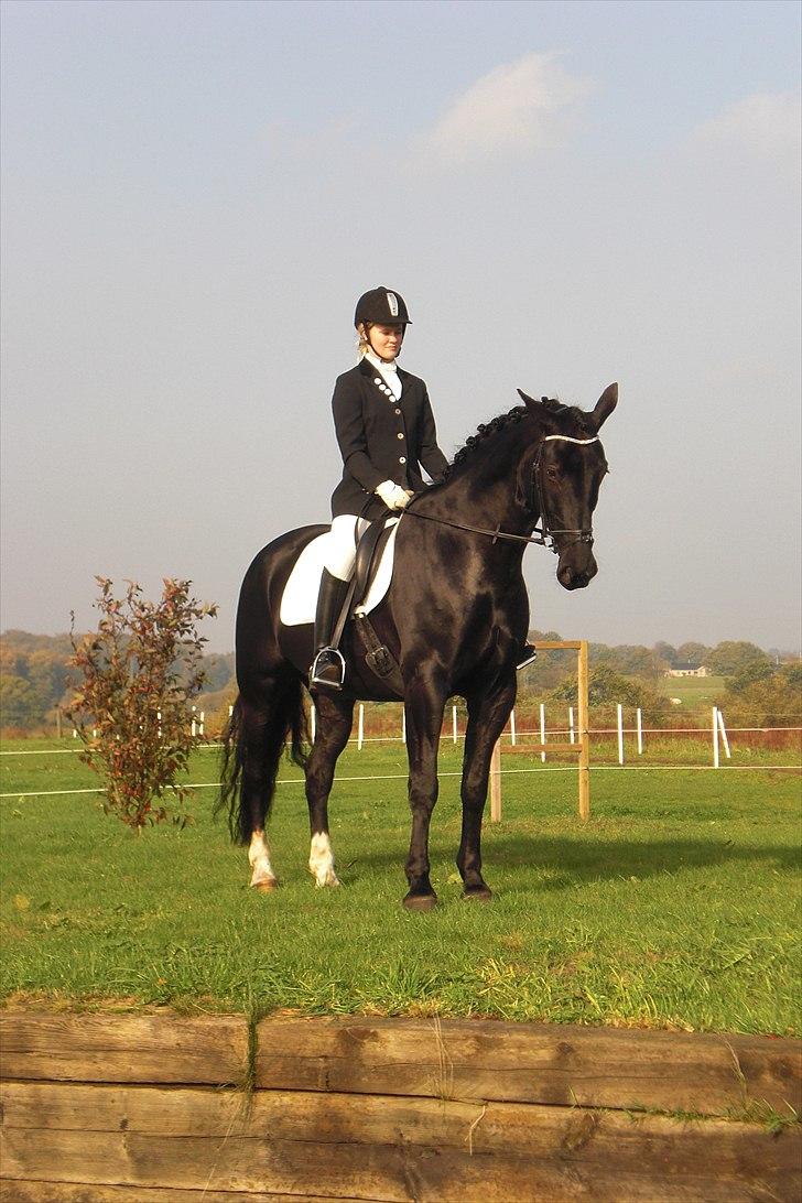 Anden særlig race Casmir <3RIP13 - smukkebassen i jydeland billede 8