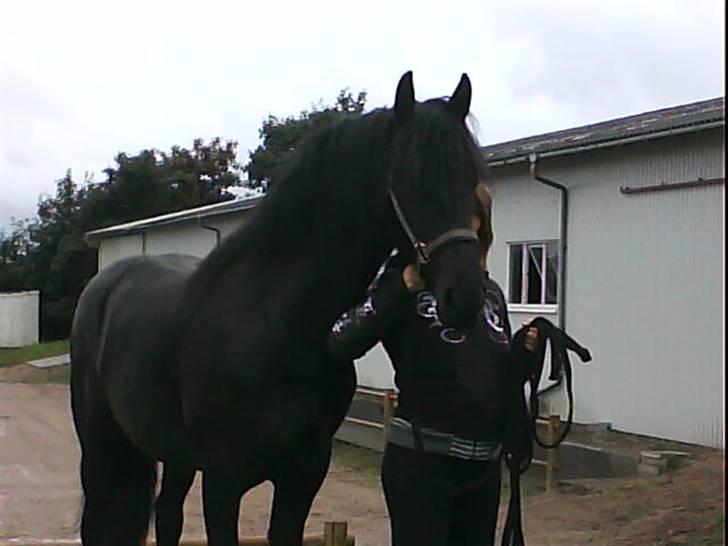 Frieser Thomas Gammelgaard billede 15