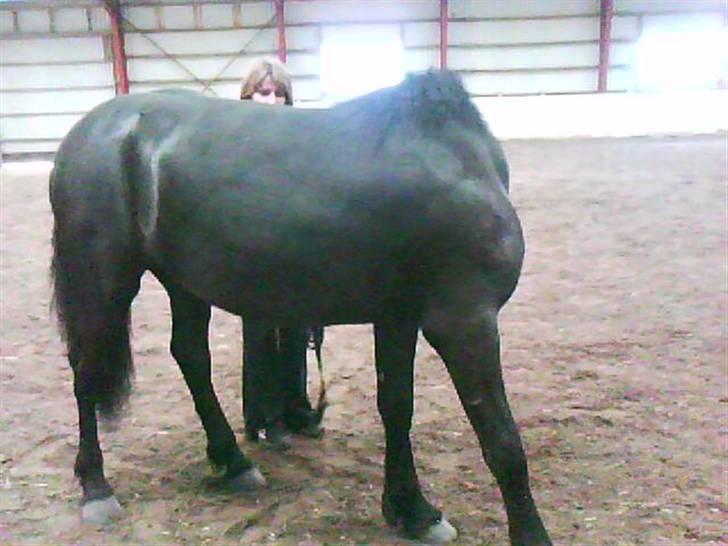 Frieser Thomas Gammelgaard billede 16