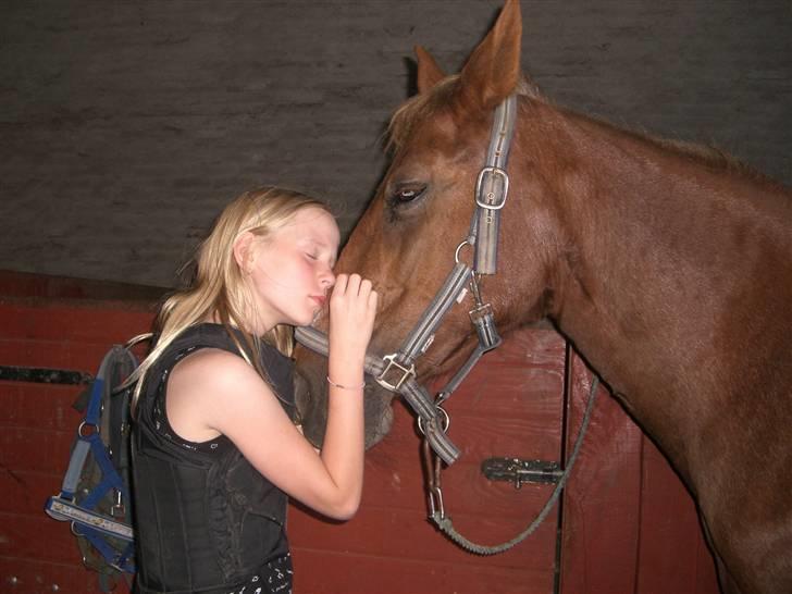 Connemara Nelly (sendt tilbage)  - farvel SØDE Nelly dagen før jeg skulle sige farvel forevigt :´( sidste billed af hende :( billede 18