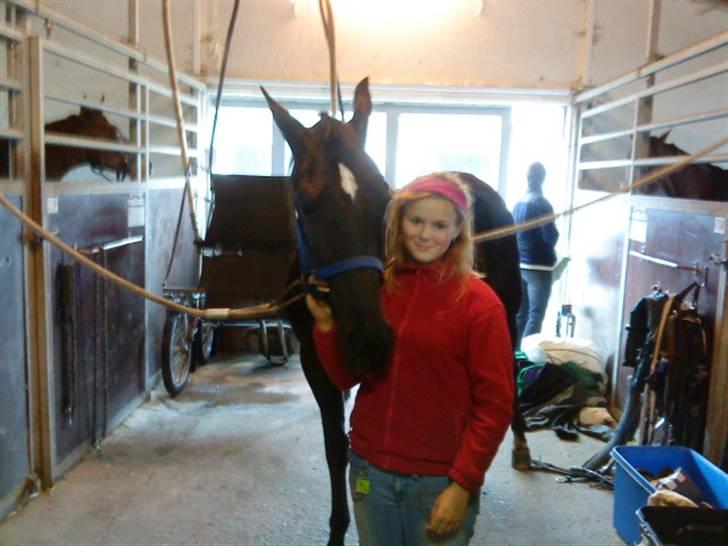 Traver precious pride - på besøg hos hende i træning billede 11