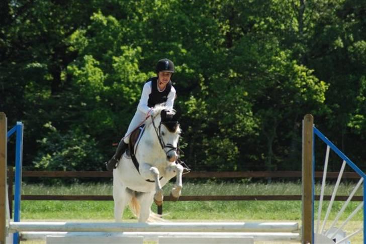 Welsh Pony (sec B) Korreborgs Kawango *MIT LIV* - Mig og Kawango til springstævne på Vas billede 13