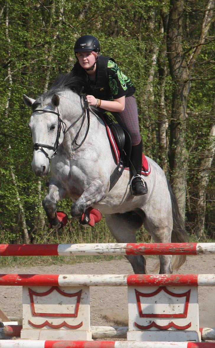 Anden særlig race Marie After Eight - Træning på gården :D  *foto* mor billede 4