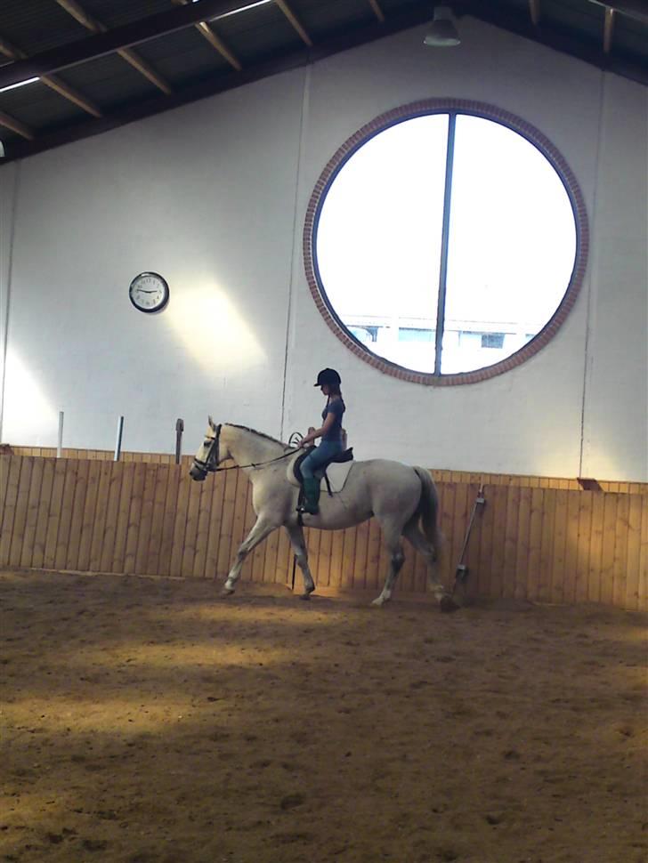 Oldenborg Dora - SOLGT* billede 5