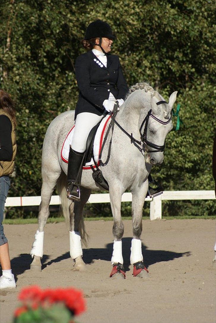 Anden særlig race Kashmir B - pony - solgt - 18) nr 4. Sjællandsmesterskaberne 2010! :D foto: Nanna :D billede 15