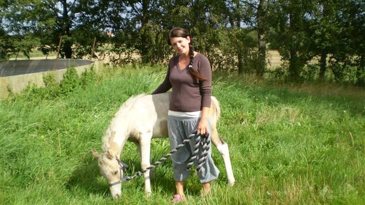 Anden særlig race  Wilse´s Santo billede 5