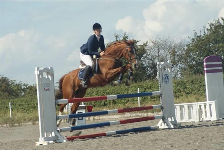 Tysk Oldenburger Andiamo 162 - Mig og Andi til amagermesterskabet:) Foto: Liv Alexandra  billede 8