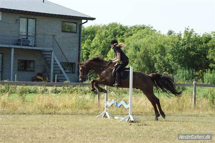 Anden særlig race Malibu - min lille baby, flyver over springet.:´* billede 3