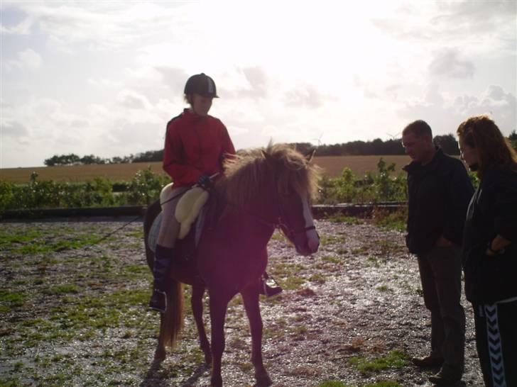 Islænder Loâ fra Nørremarken - Loâ og mig da jeg var oppe og prøve hende :D billede 2