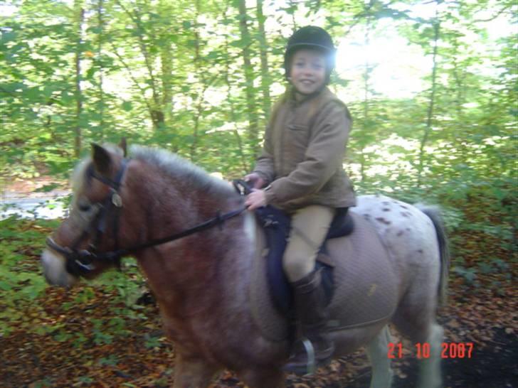 Anden særlig race tot  (gammel part) billede 2