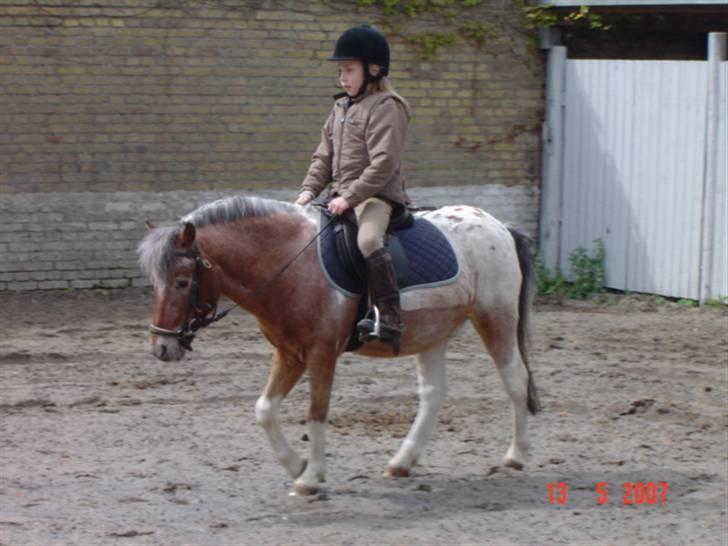 Anden særlig race tot  (gammel part) billede 3