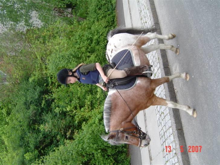 Anden særlig race tot  (gammel part) billede 4