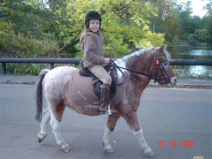 Anden særlig race tot  (gammel part) billede 6