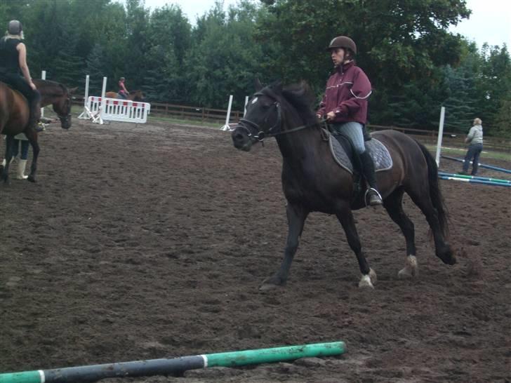 Anden særlig race Black (: (har redet) billede 3