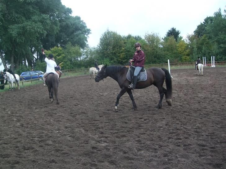 Anden særlig race Black (: (har redet) billede 4