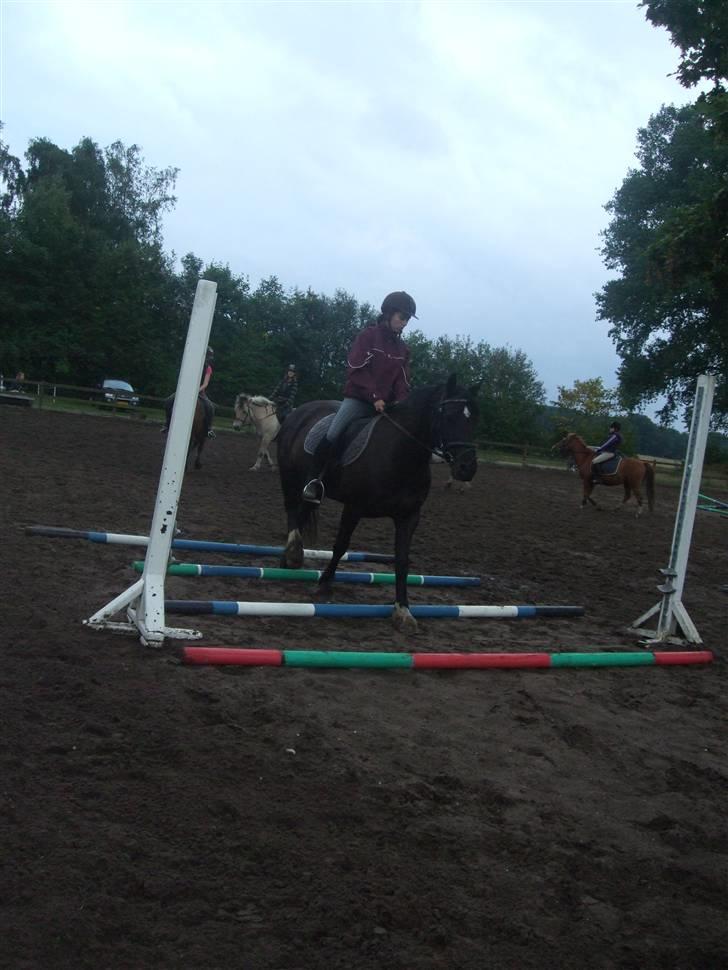 Anden særlig race Black (: (har redet) billede 6