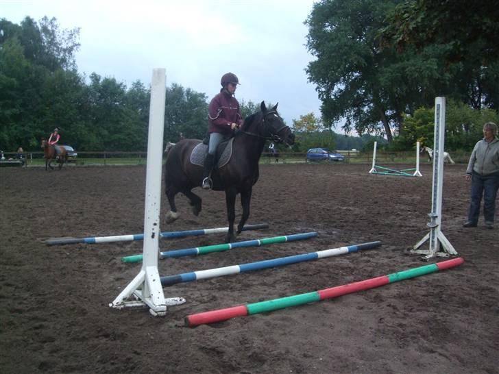 Anden særlig race Black (: (har redet) billede 7