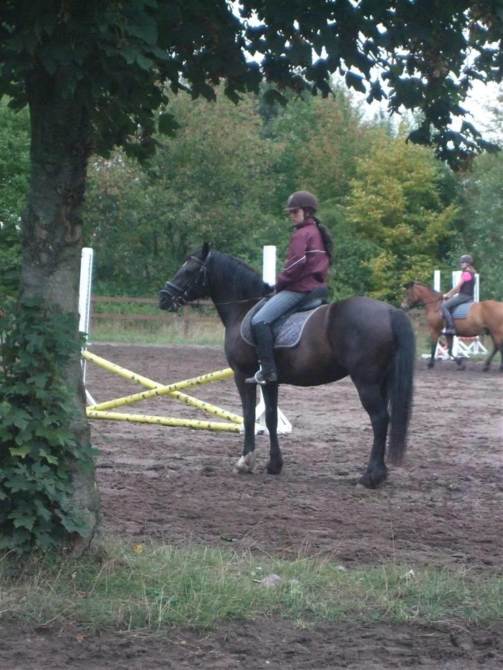 Anden særlig race Black (: (har redet) billede 9