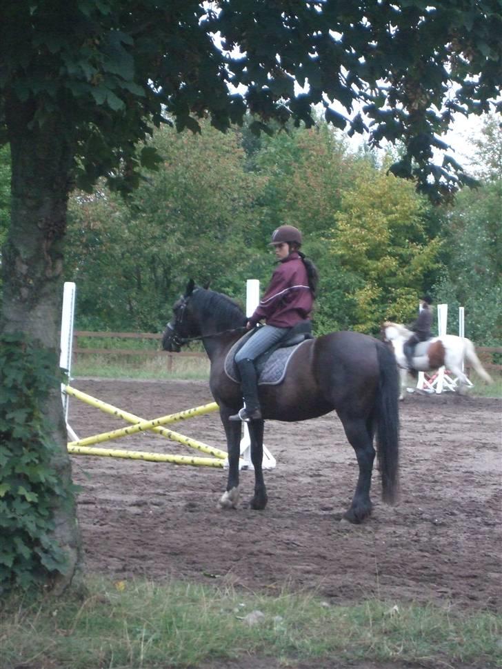 Anden særlig race Black (: (har redet) billede 10