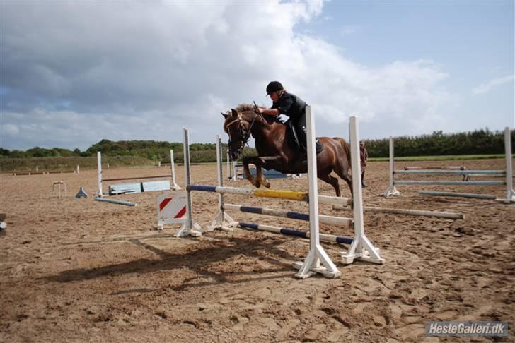 Anden særlig race Donjuan Solgt:/ - 3. billede 3