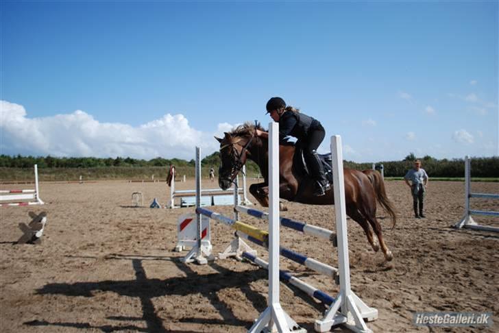Anden særlig race Donjuan Solgt:/ - 4. billede 4
