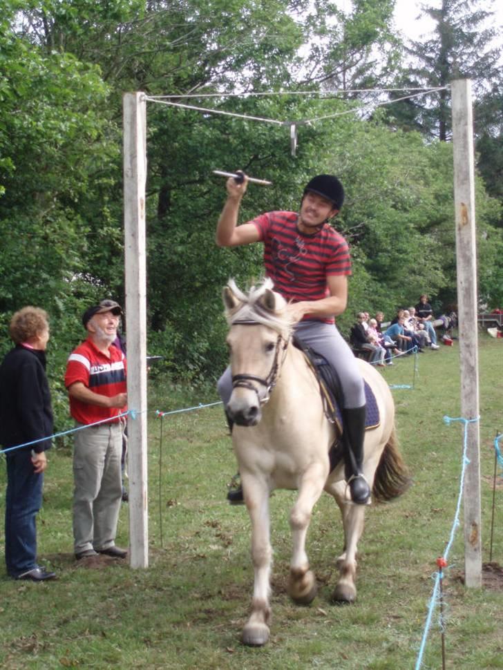 Fjordhest frida<3 - frida ringridning=) billede 11