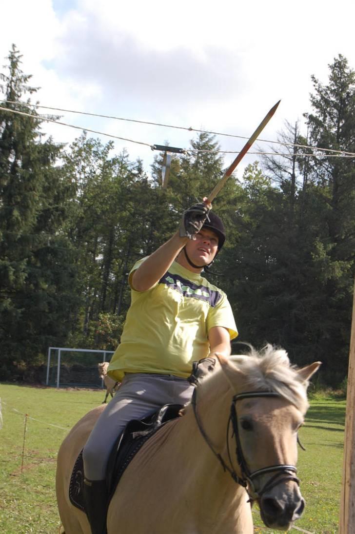 Fjordhest mikkel - mikkel ringridning=) billede 11