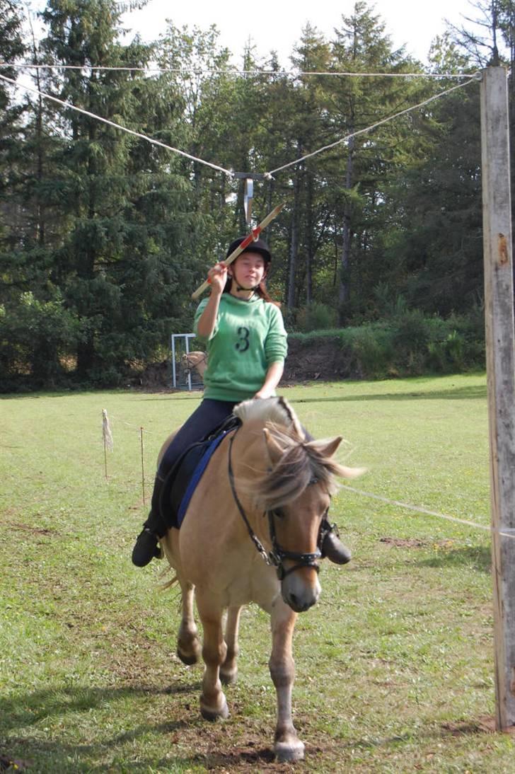 Fjordhest Tor - tor og mig ringridning i æblehaven.. billede 3