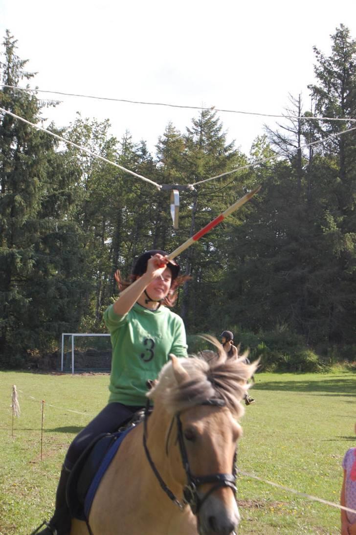 Fjordhest Tor - tor og mig  ringridning billede 4