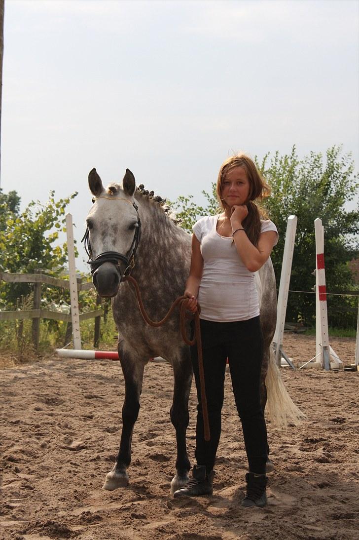 Welsh Pony (sec B) Gipsy | solgt | - min smukke pony & jeg;-) foto : L-S billede 19