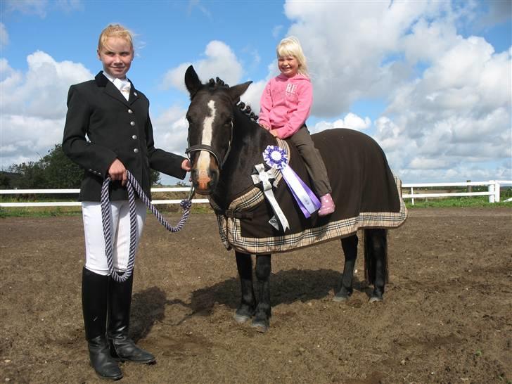 Anden særlig race LADY - Vi er lidt stolte af lille Lady billede 17