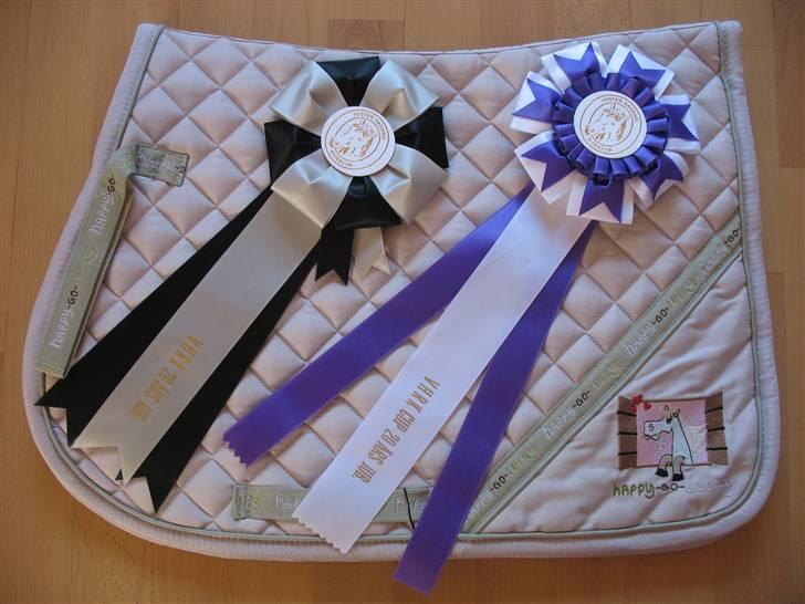 Anden særlig race LADY - Flotte rosetter vundet af Lady billede 18