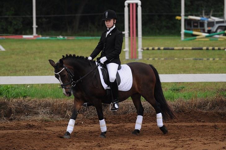 Anden særlig race LADY - Lady til stævne i Tylstrup 2010 billede 20
