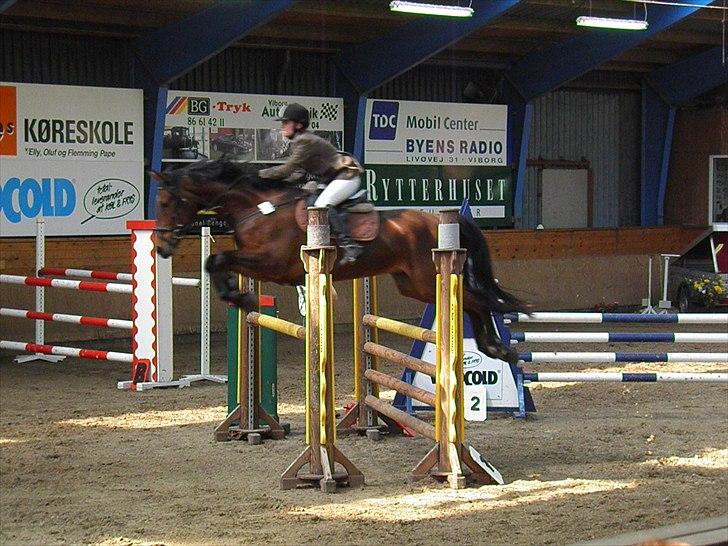 Westfaler MR jones - 2011 La billede 9