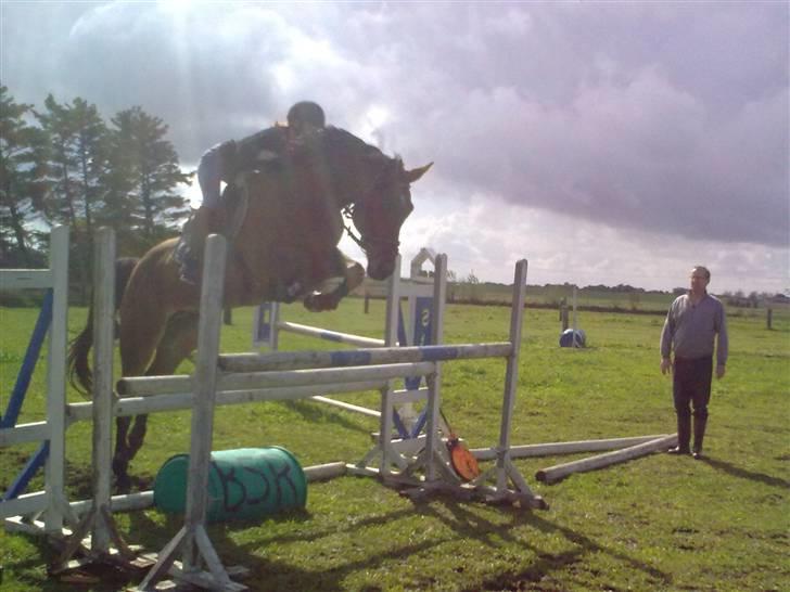 Westfaler MR jones billede 10